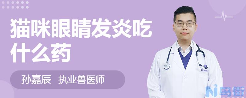 猫咪眼睛红肿有分泌物用什么药？