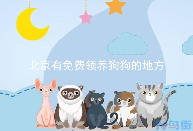 猫和狗哪个嗅觉好？