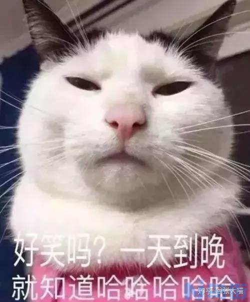 猫咪自己会生宝宝吗？