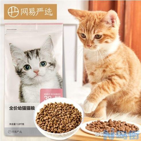 猫冻干一天可以吃多少？