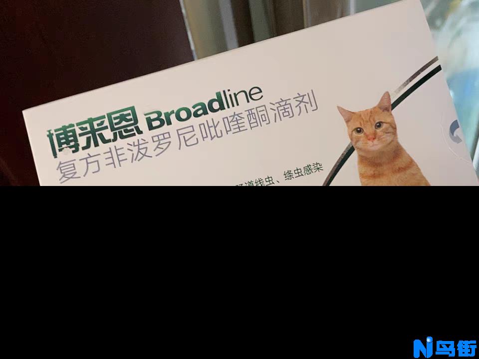 猫身上有虱子吗？