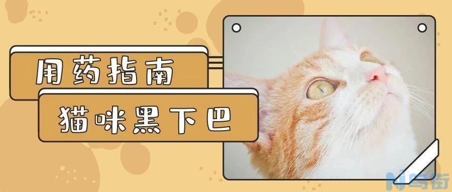 猫下巴红肿？