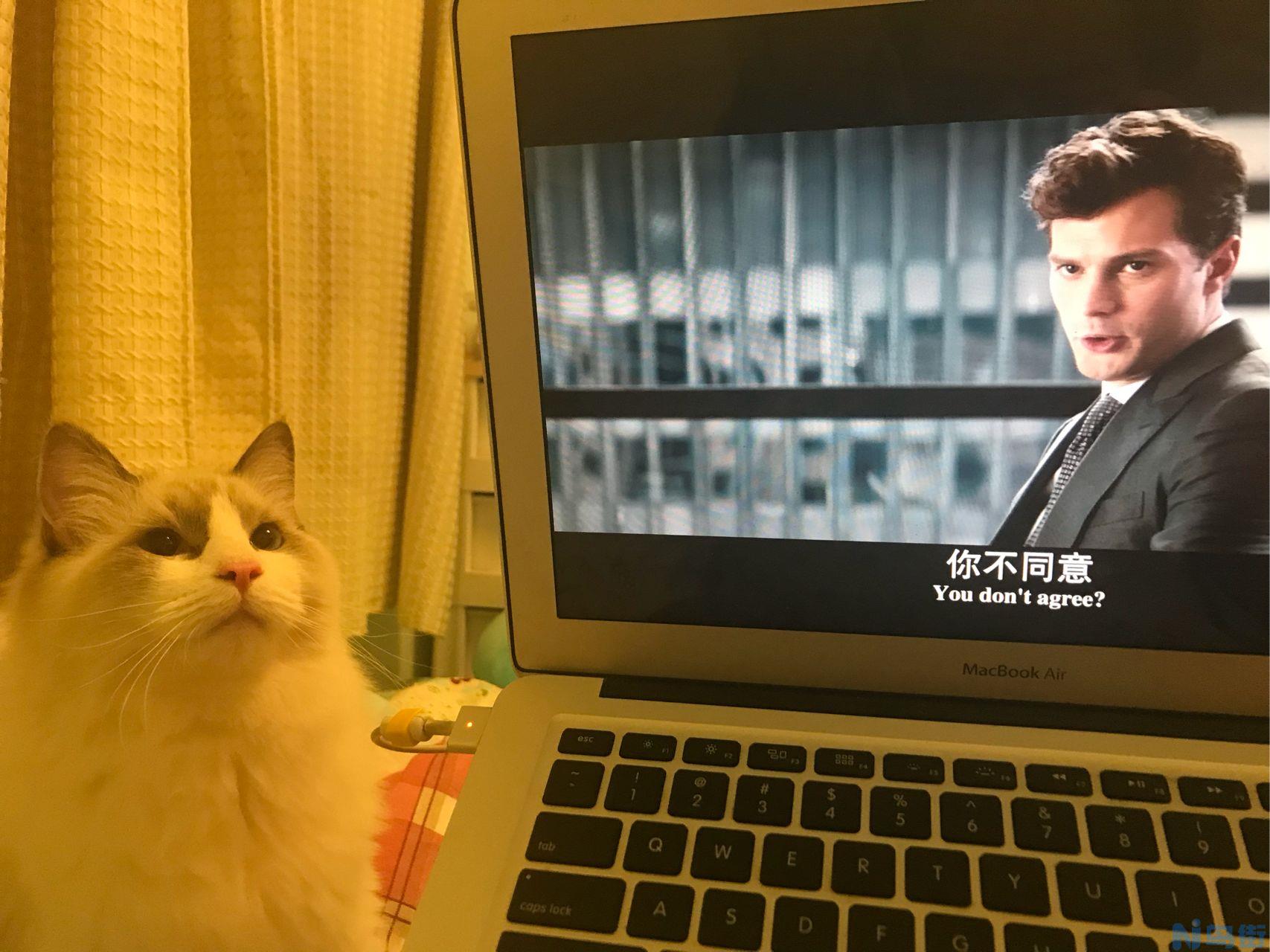 刚出生一天的猫可以吃什么？