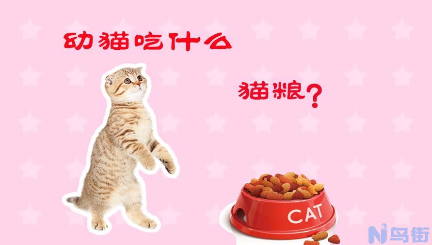 小猫几个月用猫砂？