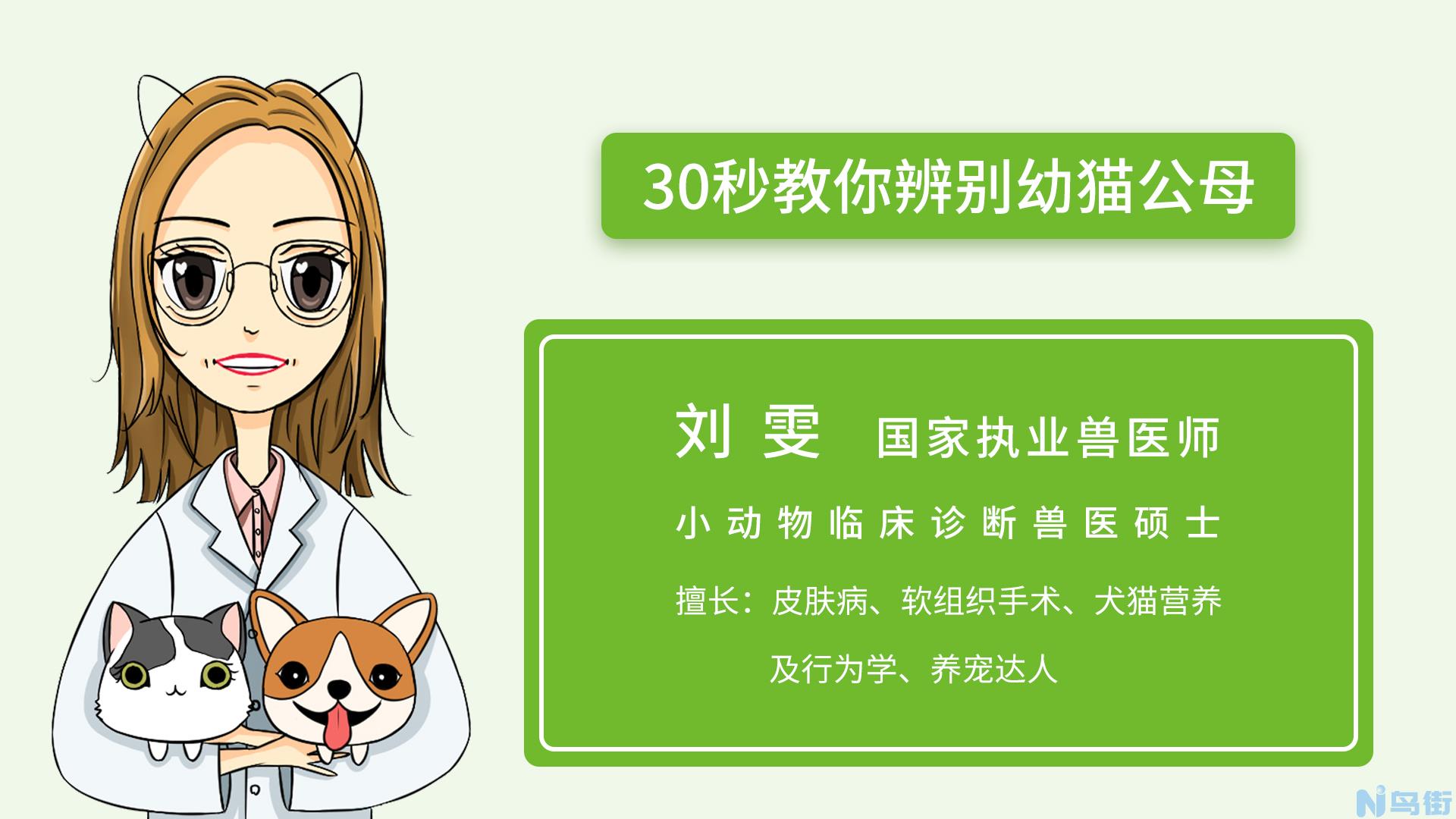 如何辨别小猫公母？