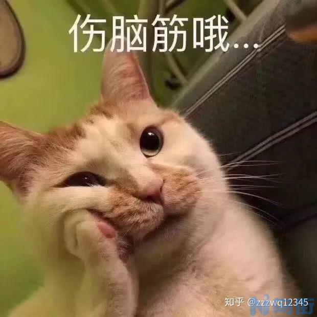 猫咪几个月可以用猫薄荷？