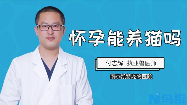 家里有孩子适合养什么猫？