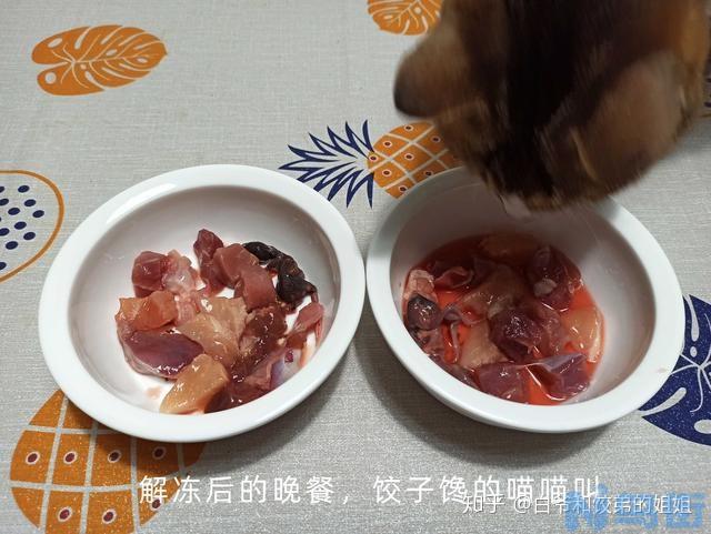 猫可以吃鸭肝脏吗？