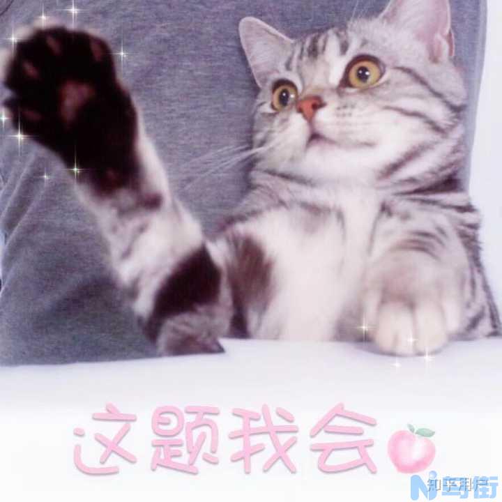 小猫什么时候打第一针？