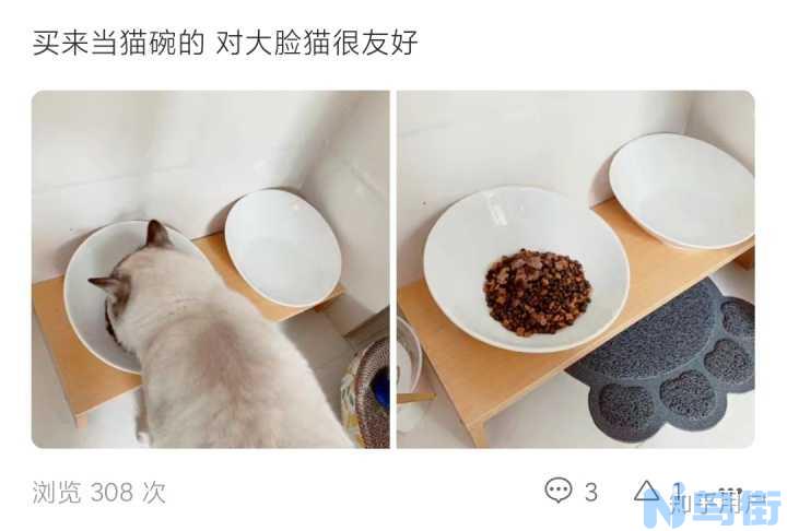 猫粮没了可以用什么代替？