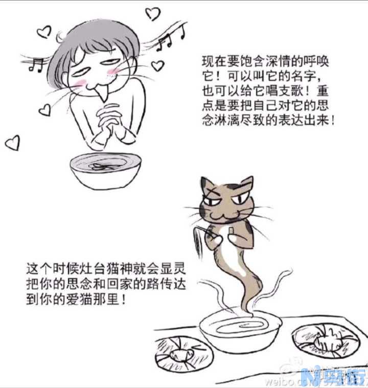 猫咪丢了还会回来吗？