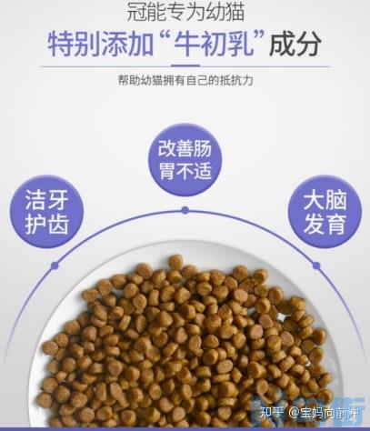 小猫吃什么奶粉比较好？