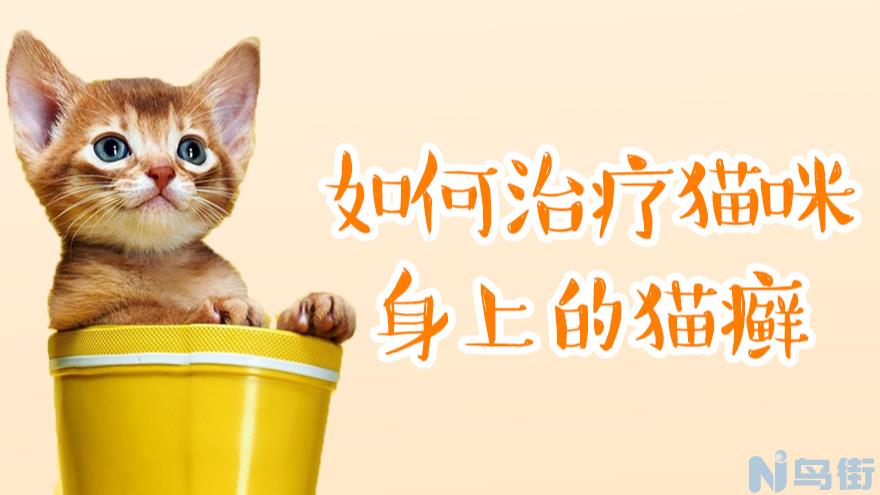 猫咪舔了皮特芬怎么办？