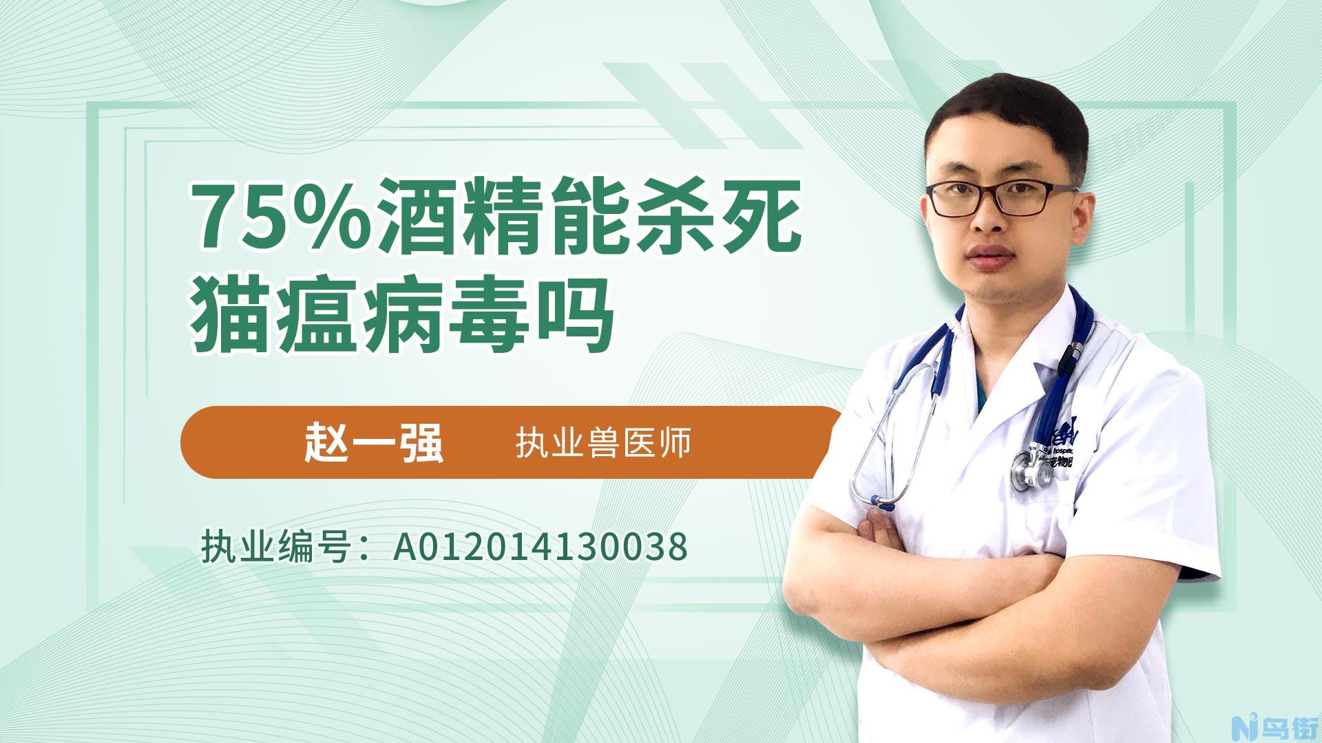 75%酒精能杀死猫瘟病毒吗？