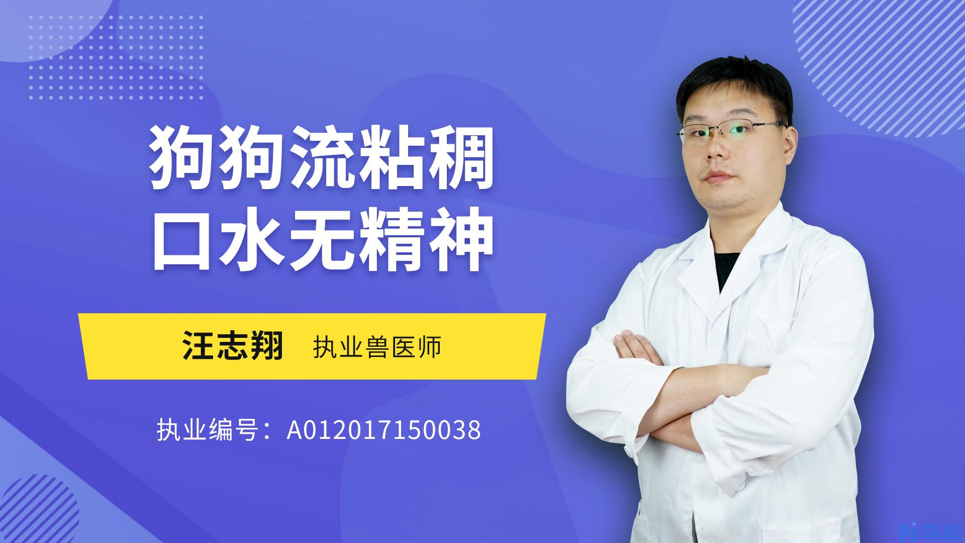 狗狗流口水是怎么回事？