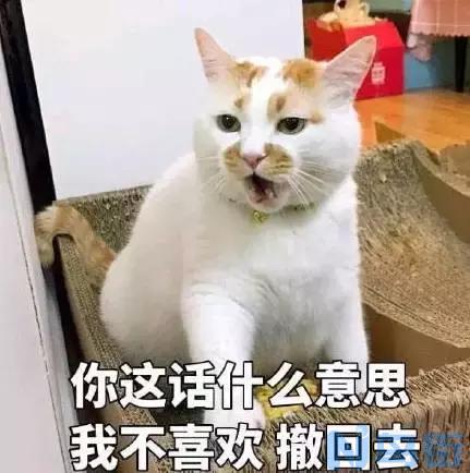 暹罗猫多重？