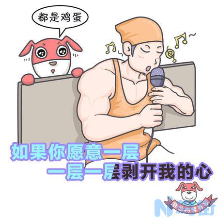 狗蛋白蛋黄能一起吃吗？