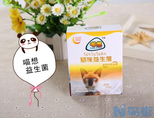 猫咪消化不良吃益生菌有用吗？