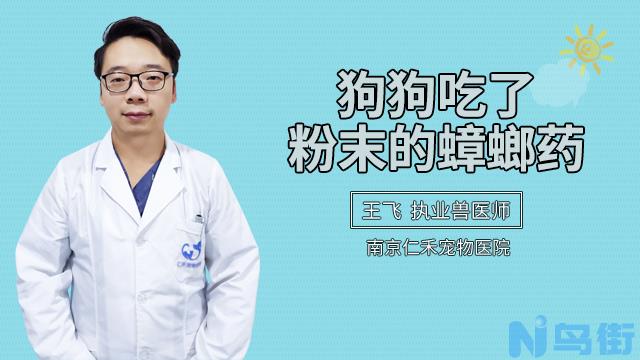 狗狗吃了蟑螂药了怎么办？