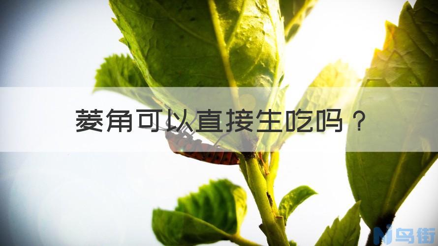 狗狗为什么不能吃芹菜？