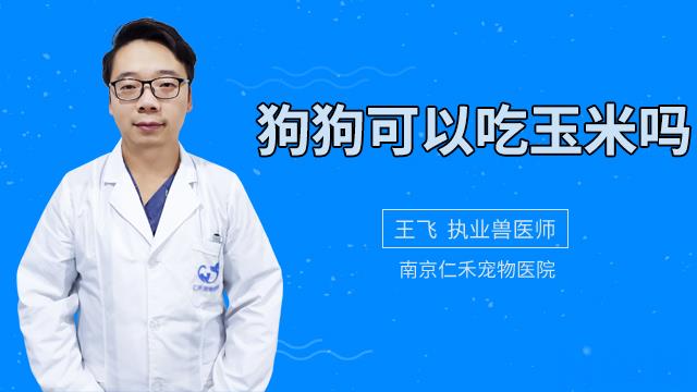 狗狗不能吃的坚果有哪些？