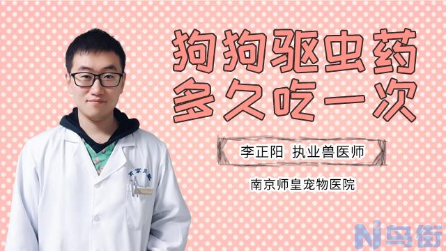 狗狗可以吃豆角吗？