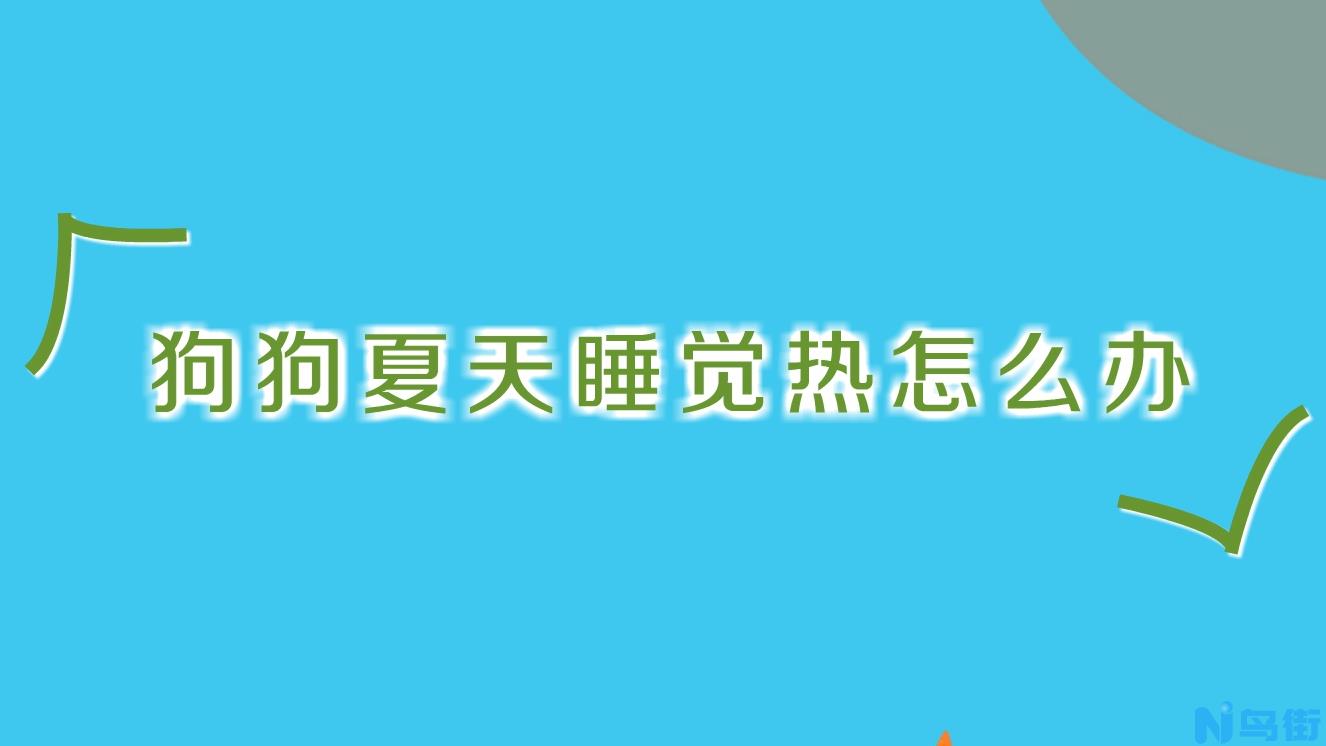 狗虱子怎么彻底去除最简单的方法？