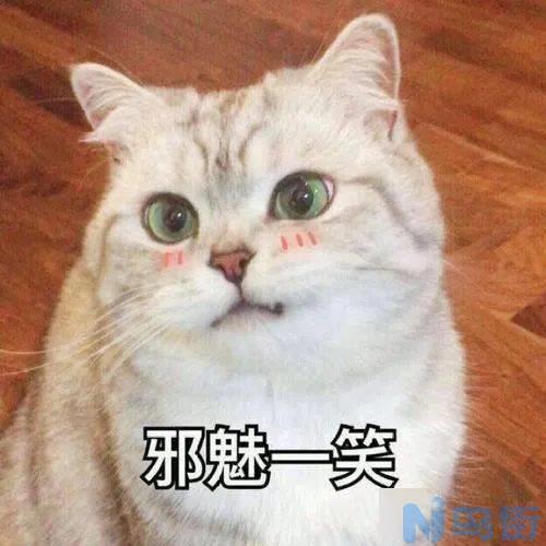 猫吃化毛膏后呕吐正常吗？