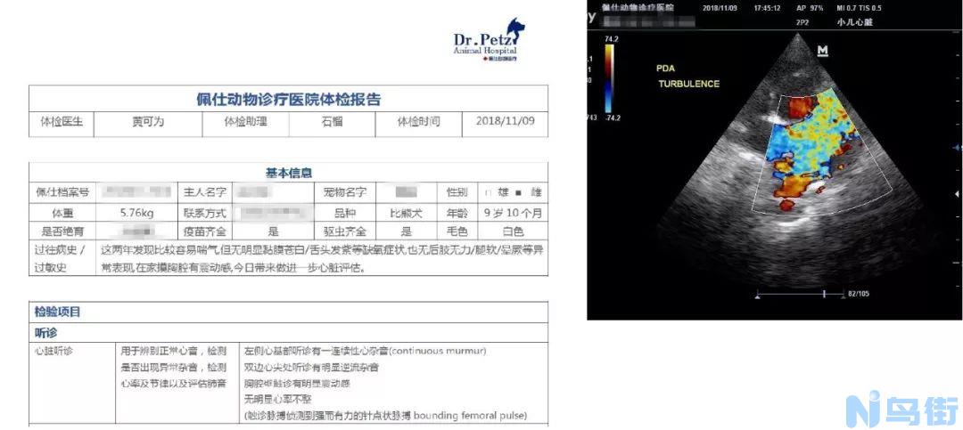 狗心脏病症状？