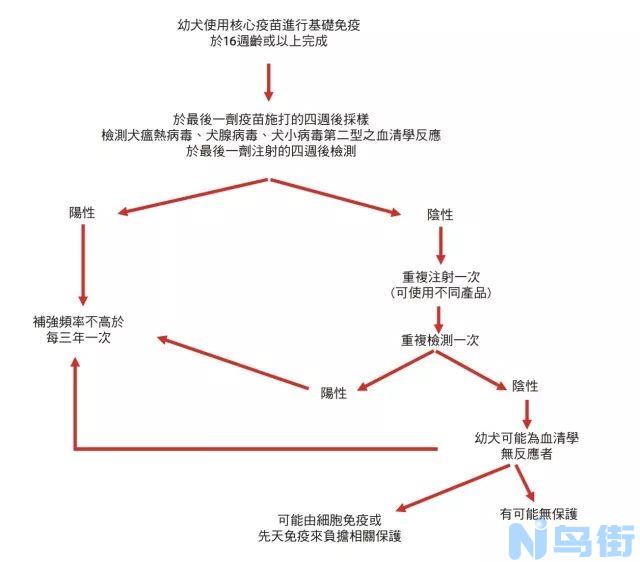 幼犬冠状病毒多久死亡？