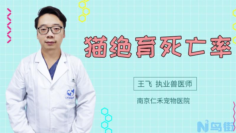 母猫几个月发情？