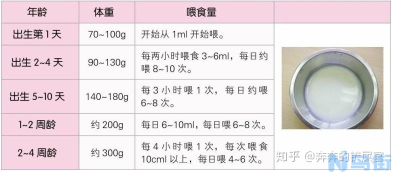 养幼猫注意事项？