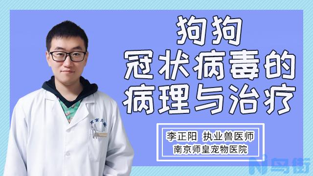 狗得脑炎的症状？