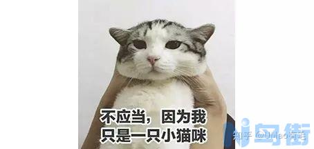 猫会放屁吗？