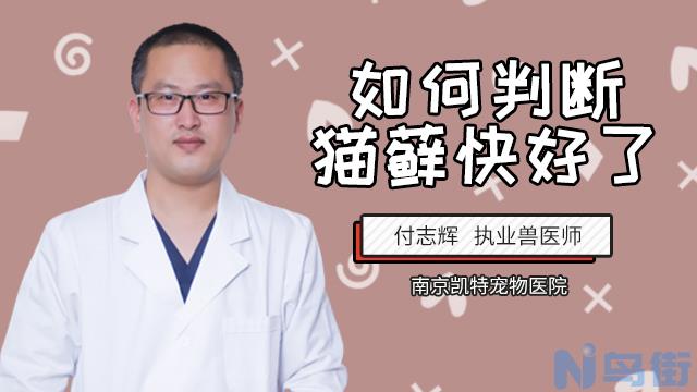 猫藓初期是什么样子的？