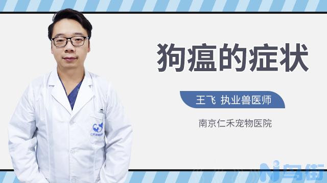 狗狗翻肠子简单的治？