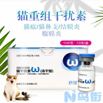 猫结膜炎？