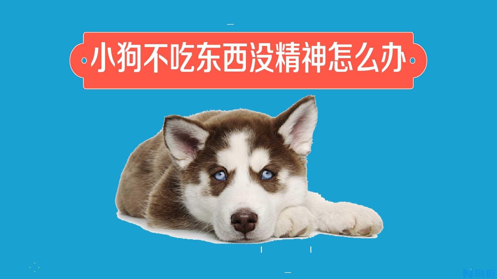 狗狗咳嗽干呕怎么回事？