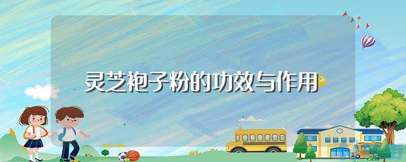 学生适合养什么仓鼠？