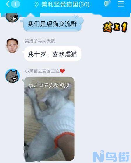 猫被打死前兆？