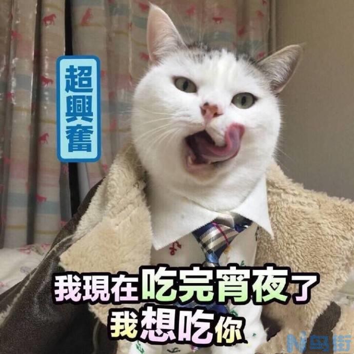 猫的寿命有多长？