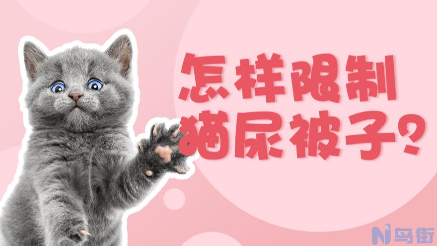 猫尿味怎么去除？