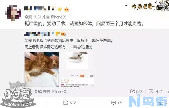 猫玩具安全吗？