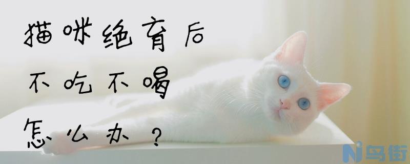 猫咪绝育后不吃不喝怎么办？