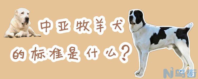 中亚牧羊犬的标准是什么？