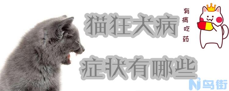 猫狂犬病症状有哪些？