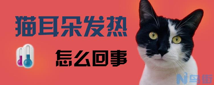 猫耳朵发热怎么回事？