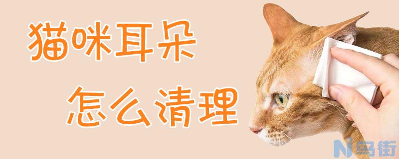 猫咪耳朵怎么清理？