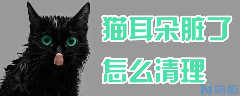 猫耳朵脏了怎么清理？