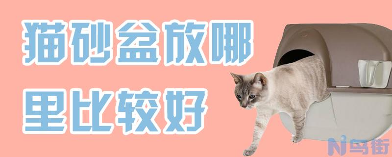 猫砂盆放哪里比较好？